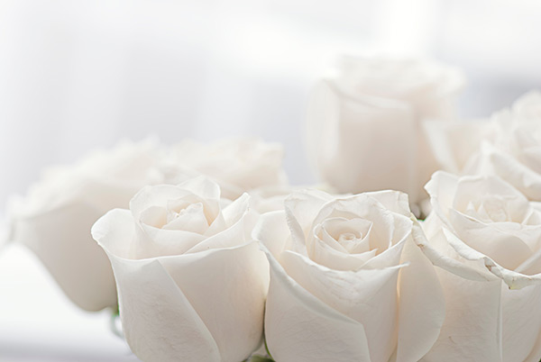 Funeral & Mortuary Services
